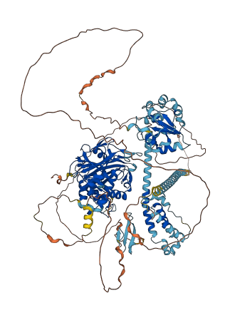 USP8 3D structure