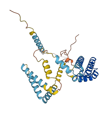 PEX19 3D structure