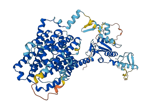 SLC26A3 3D structure
