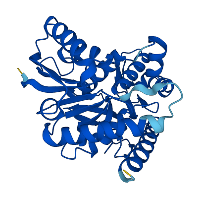 MDH1 3D structure
