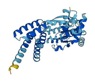 RFC3 3D structure