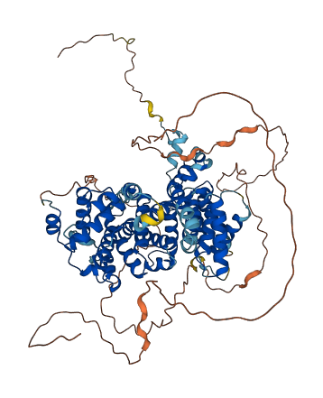 CCNF 3D structure