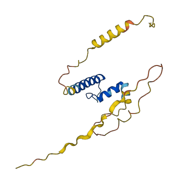 ID1 3D structure