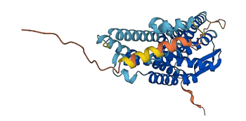 OPRD1 3D structure
