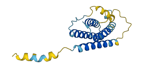 LEP 3D structure