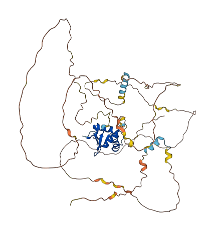 ETV3 3D structure