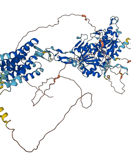 CASR 3D structure