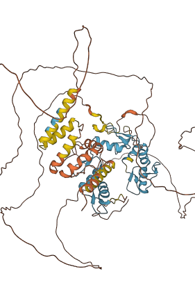 BCL6 3D structure
