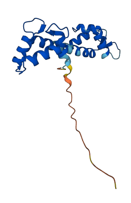 CETN2 3D structure