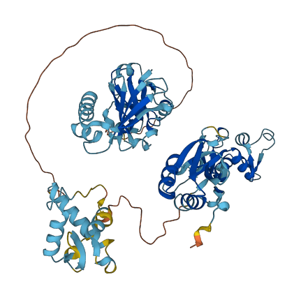 EIF2D 3D structure