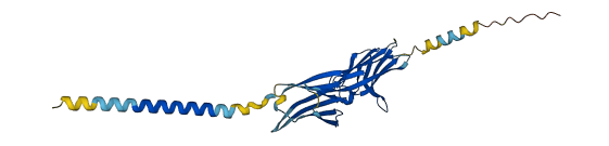 CD200 3D structure