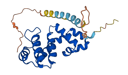 RGS2 3D structure