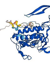 WNT5A 3D structure