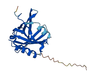 PTGDS 3D structure