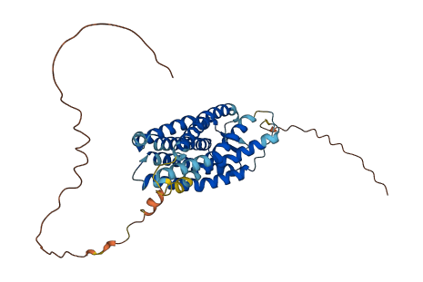 P2RY2 3D structure