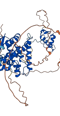 HNF4A 3D structure