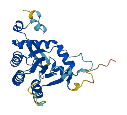 APOBEC1 3D structure