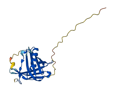 Vegp2 3D structure