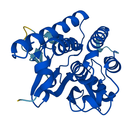PNPLA4 3D structure