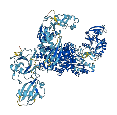 IARS1 3D structure