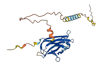 TNFSF9 3D structure