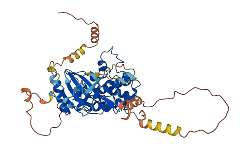 MAP3K8 3D structure