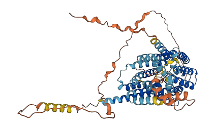 SLC19A1 3D structure