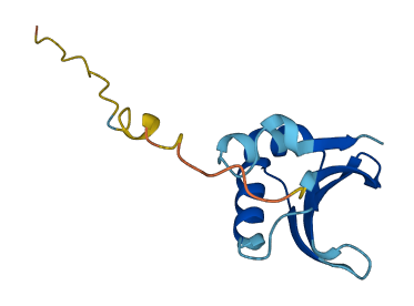 EIF1 3D structure