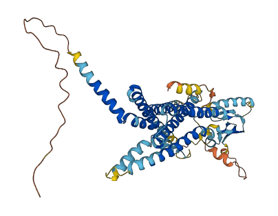 ADCYAP1R1 3D structure
