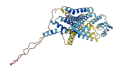 VIPR2 3D structure
