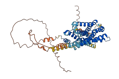 HTR2B 3D structure