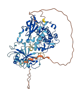 PRKCI 3D structure