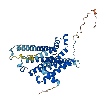 MC3R 3D structure