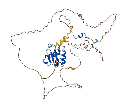 ELK3 3D structure