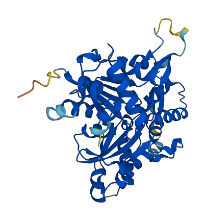 ACTR1B 3D structure