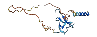 ASIP 3D structure