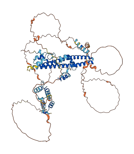 TMPO 3D structure