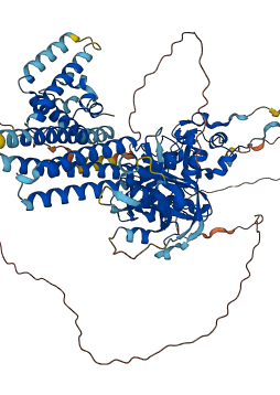 STAT6 3D structure