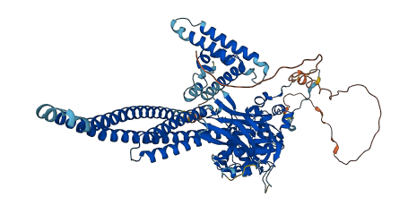 STAT5A 3D structure