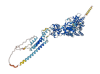 GRIA3 3D structure