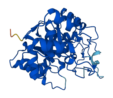 AKR1C3 3D structure