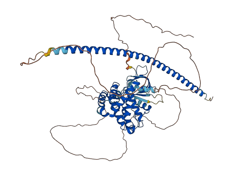 ARHGAP25 3D structure