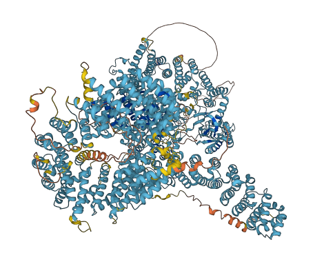 MTOR 3D structure