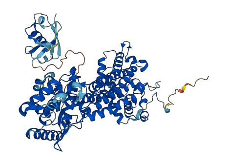 HAL 3D structure