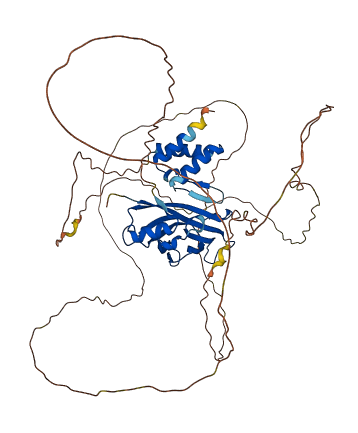 MLLT3 3D structure