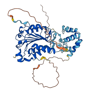 CASP2 3D structure