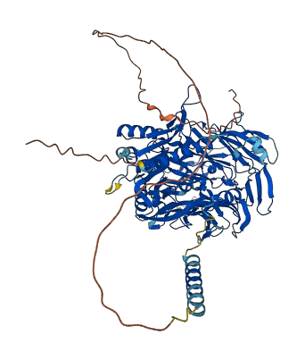 DPP6 3D structure