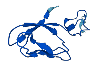 RPS27 3D structure