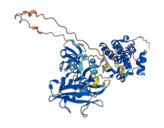 MATK 3D structure
