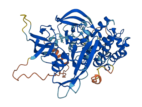 FRK 3D structure